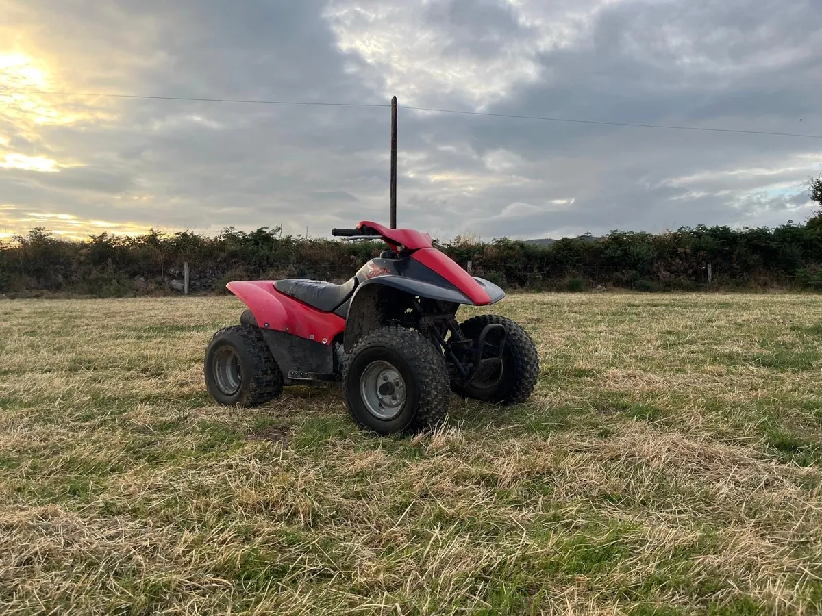 Honda TRX 90 - Image 1