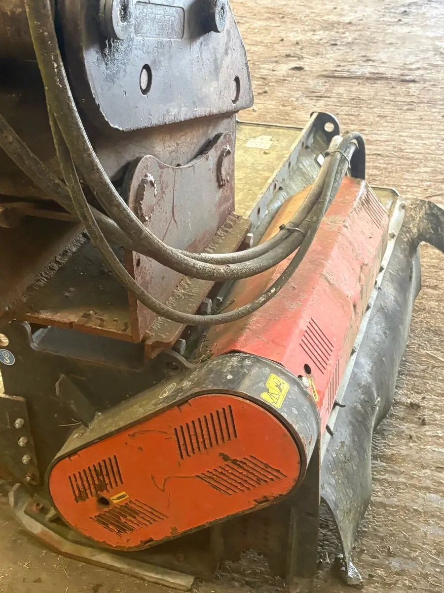 Cangini Mulcher for sale - Image 1