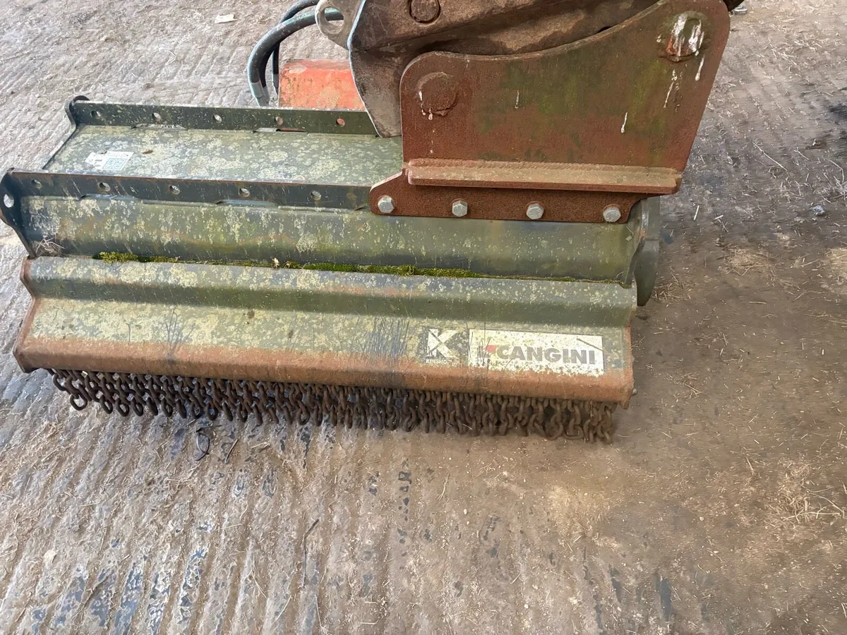 Cangini Mulcher for sale - Image 2