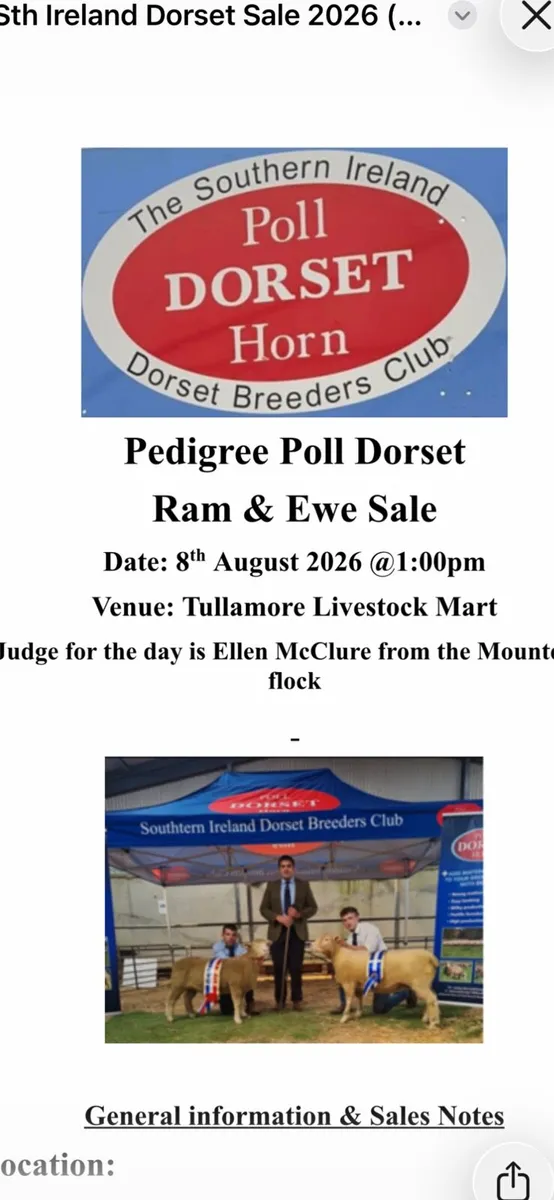 Poll Dorset - Image 1