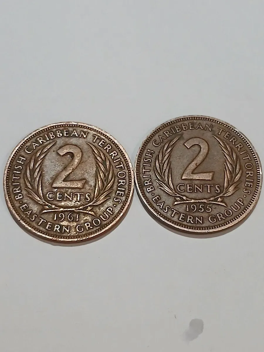 2 bristish caribeen - Image 2