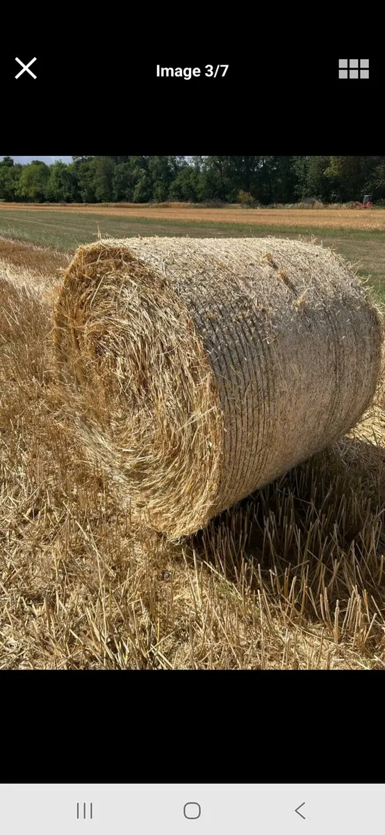 Straw - Image 1