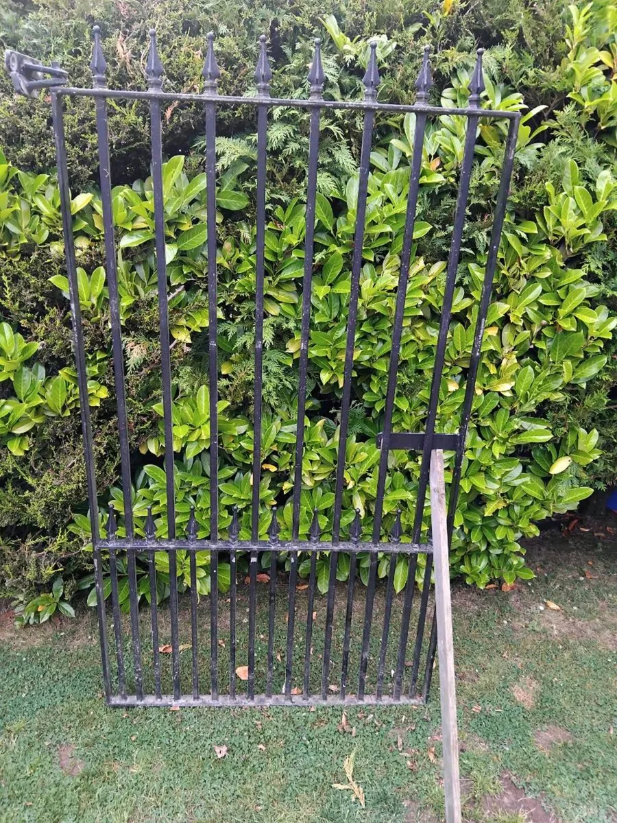 Side Gate - Image 1