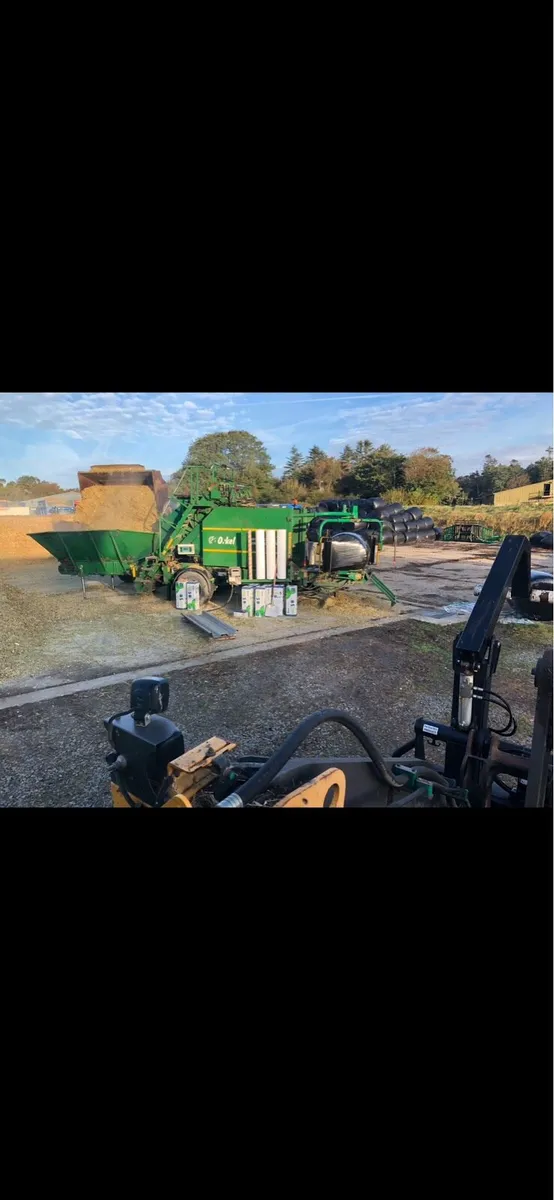Maize bales - Image 3