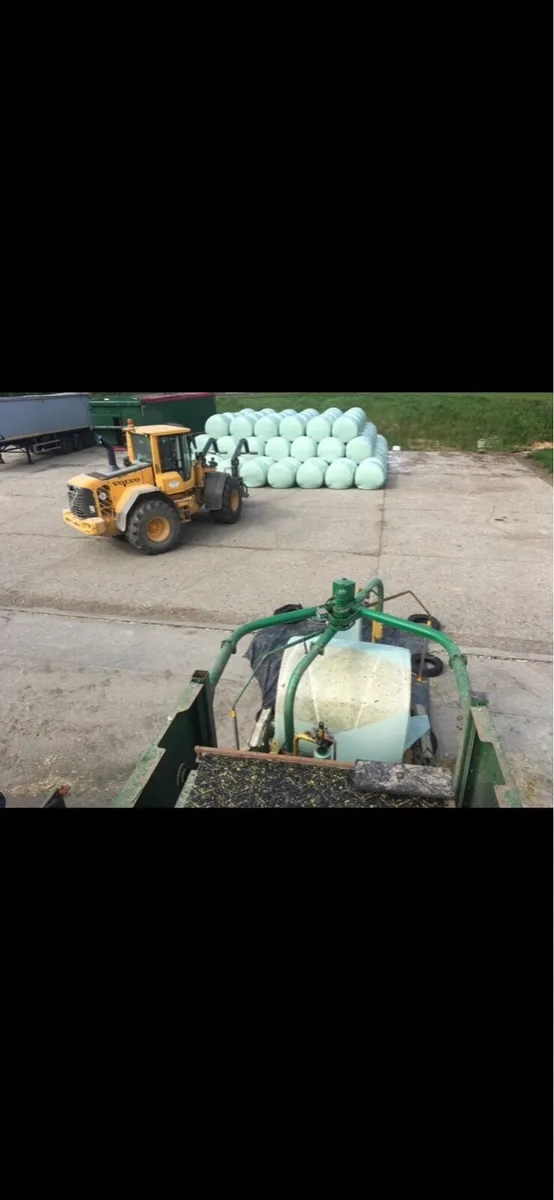 Maize bales - Image 2