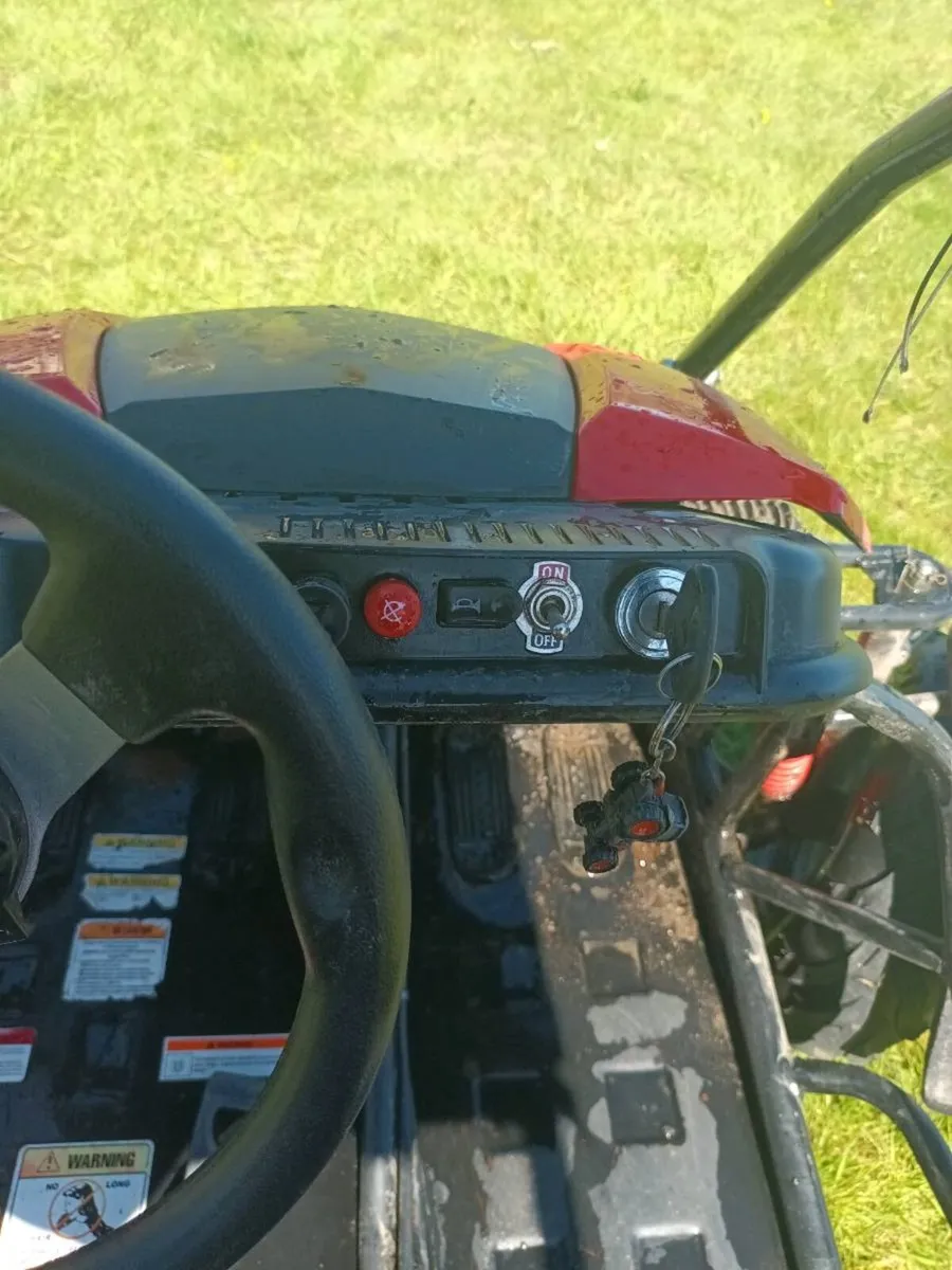 Buggy - Image 3