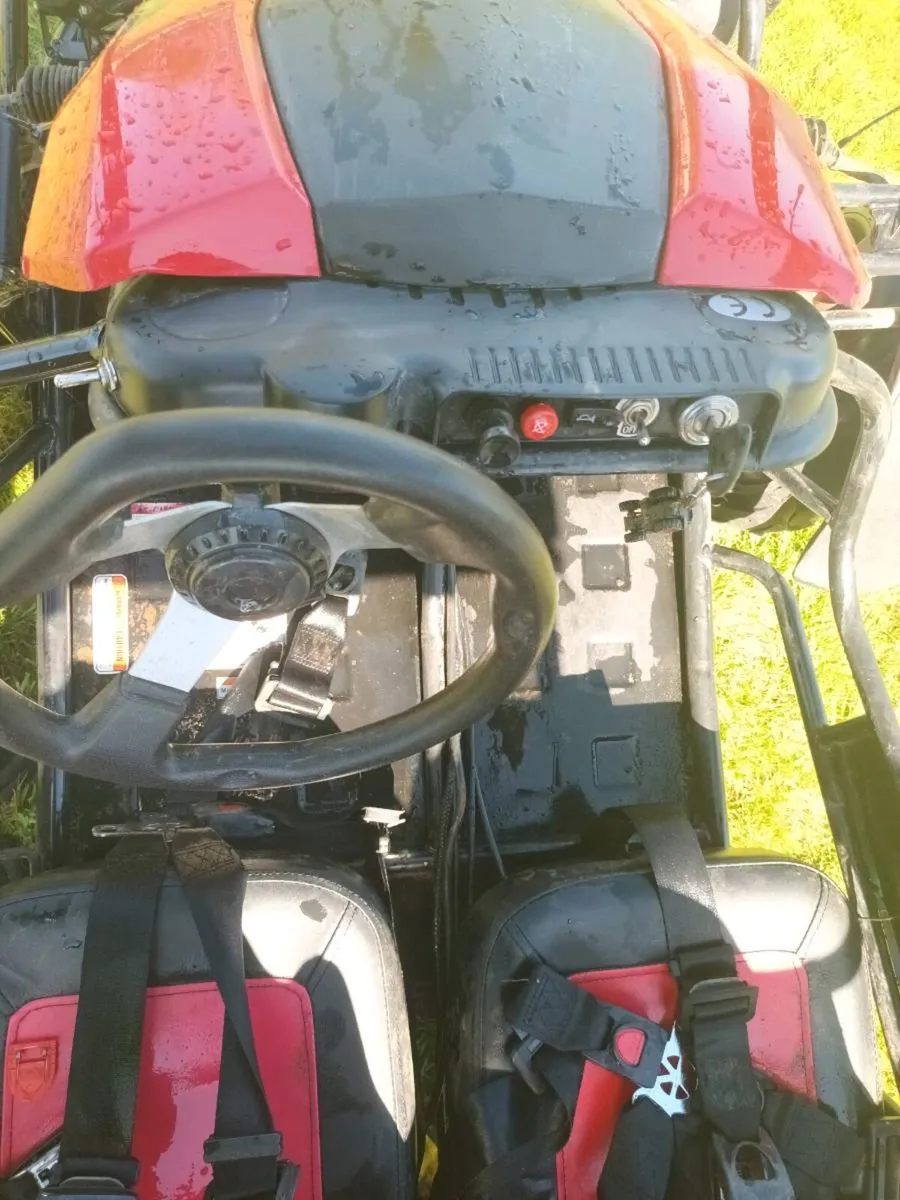 Buggy - Image 4