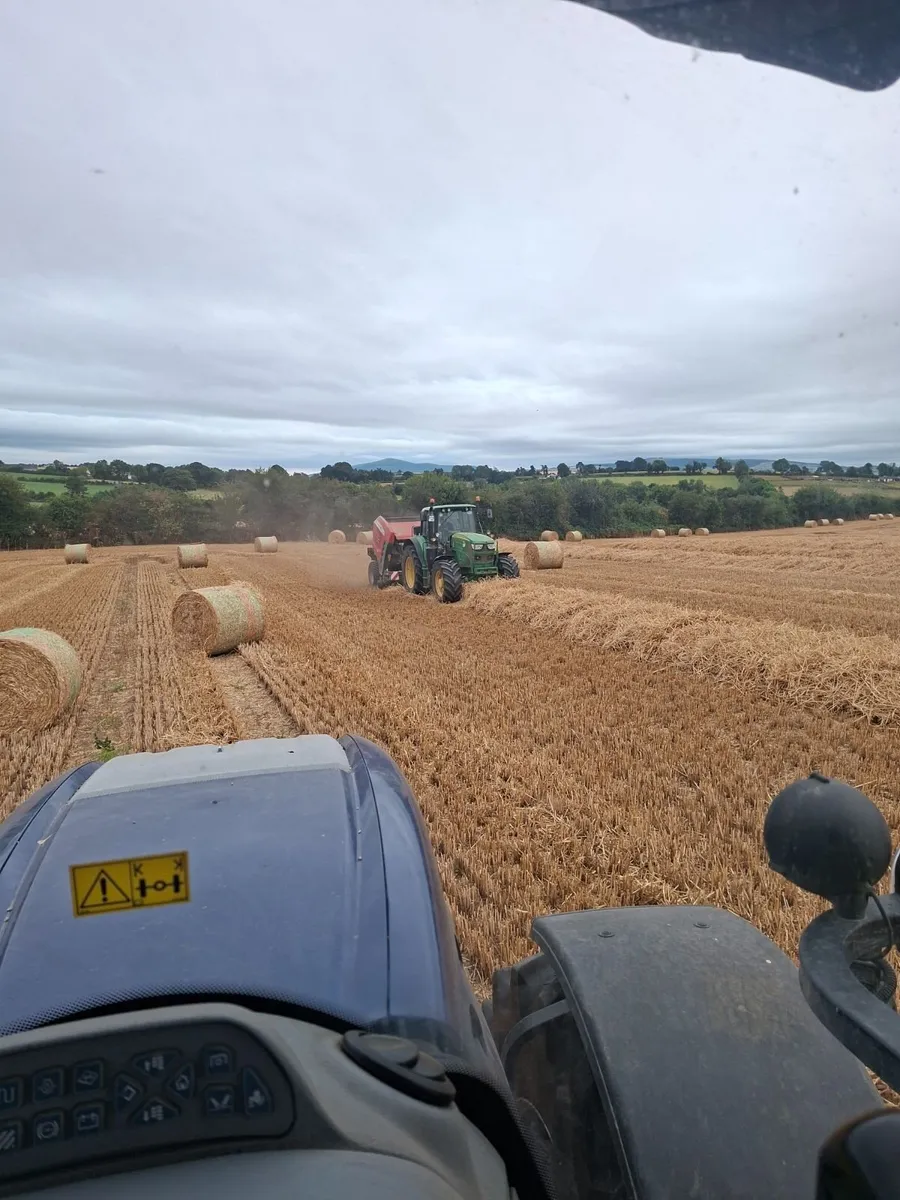 Straw - Image 1