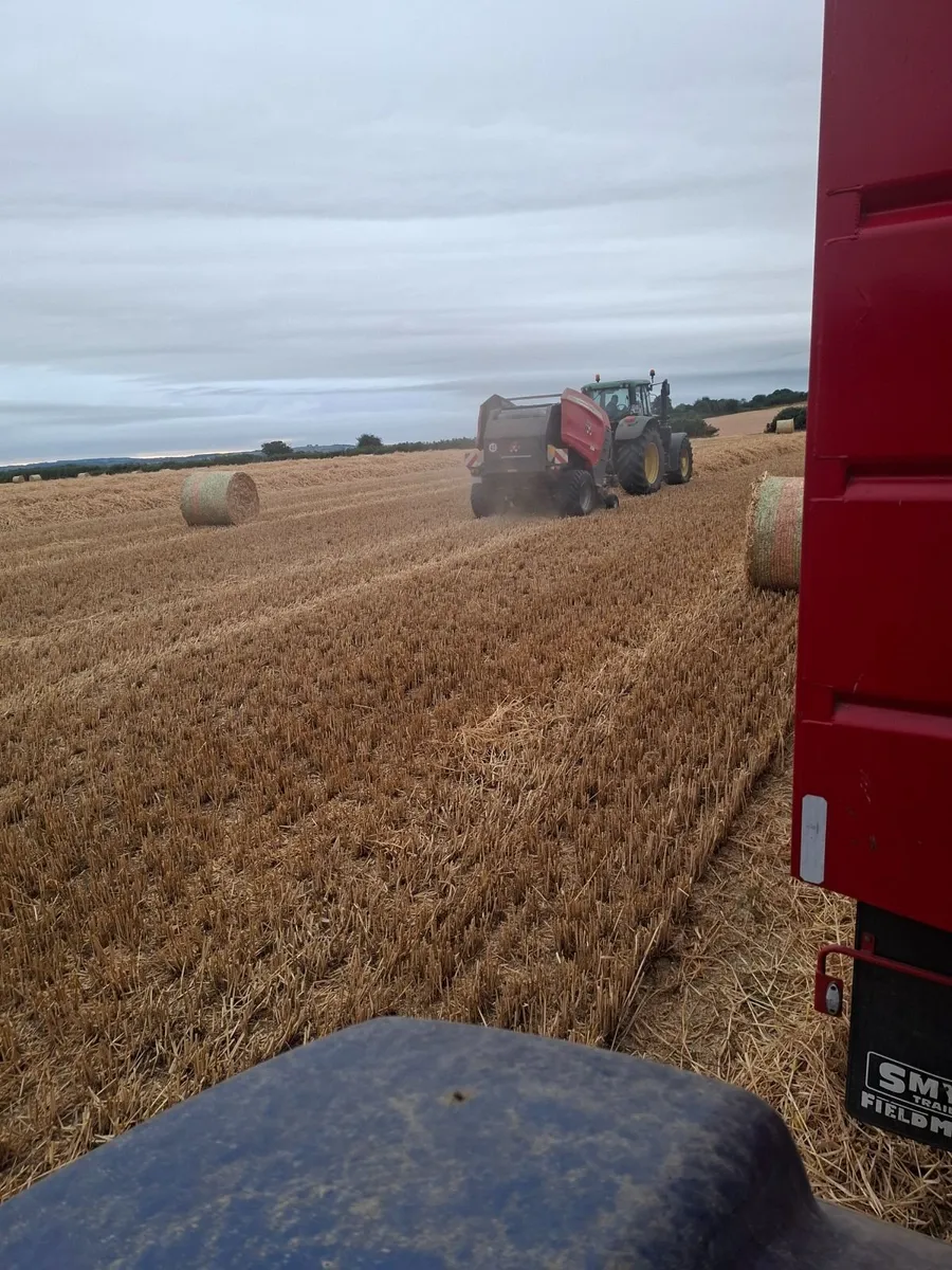 Straw - Image 2