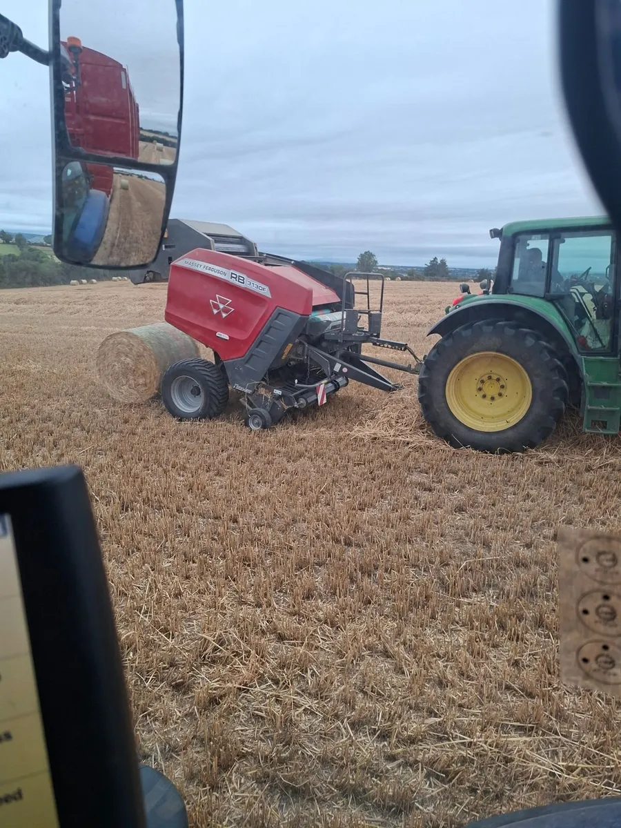 Straw - Image 4