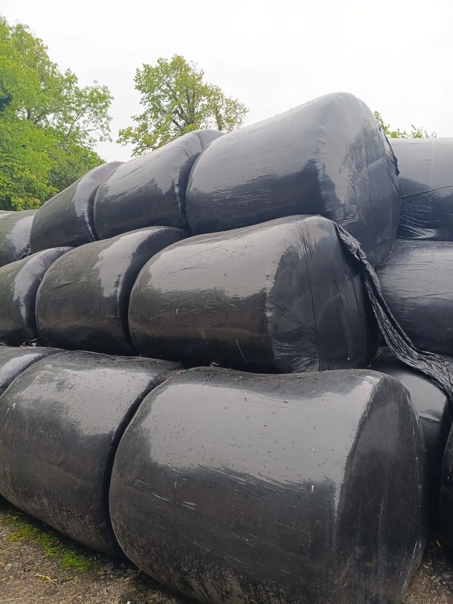 Silage bales