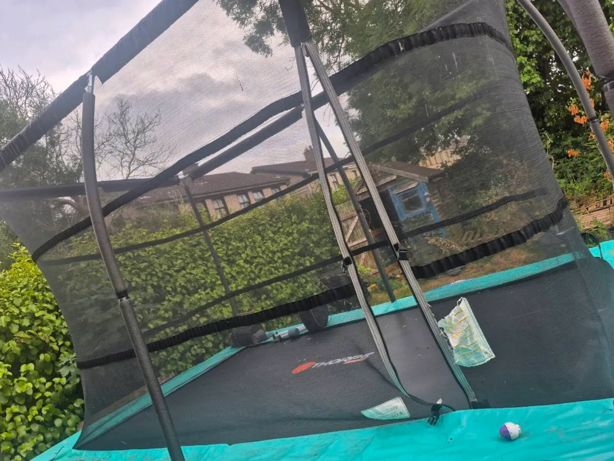 Trampoline - Image 2