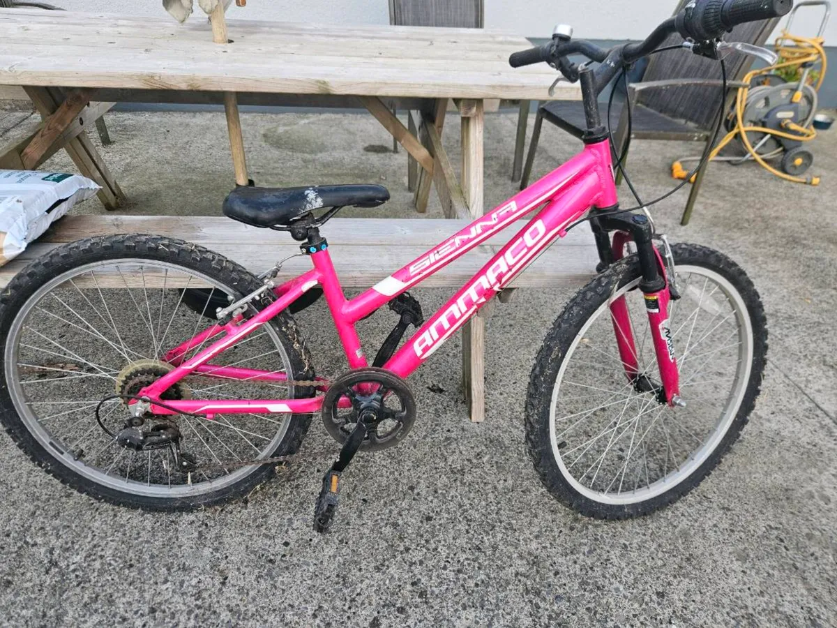 Bicycle - Image 2