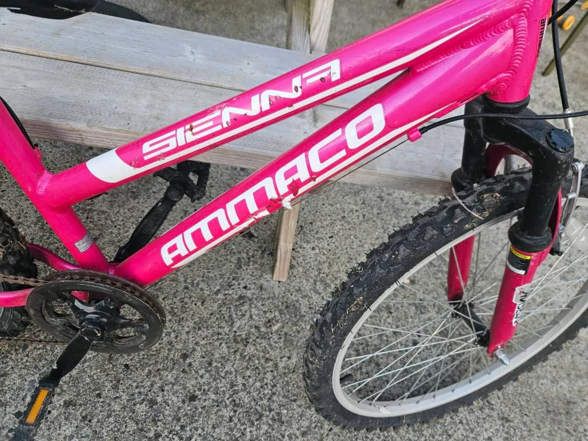 Bicycle - Image 4