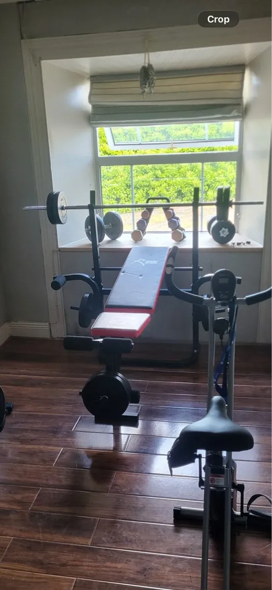 Weight bench - adjustable & 50kg weights - Image 1