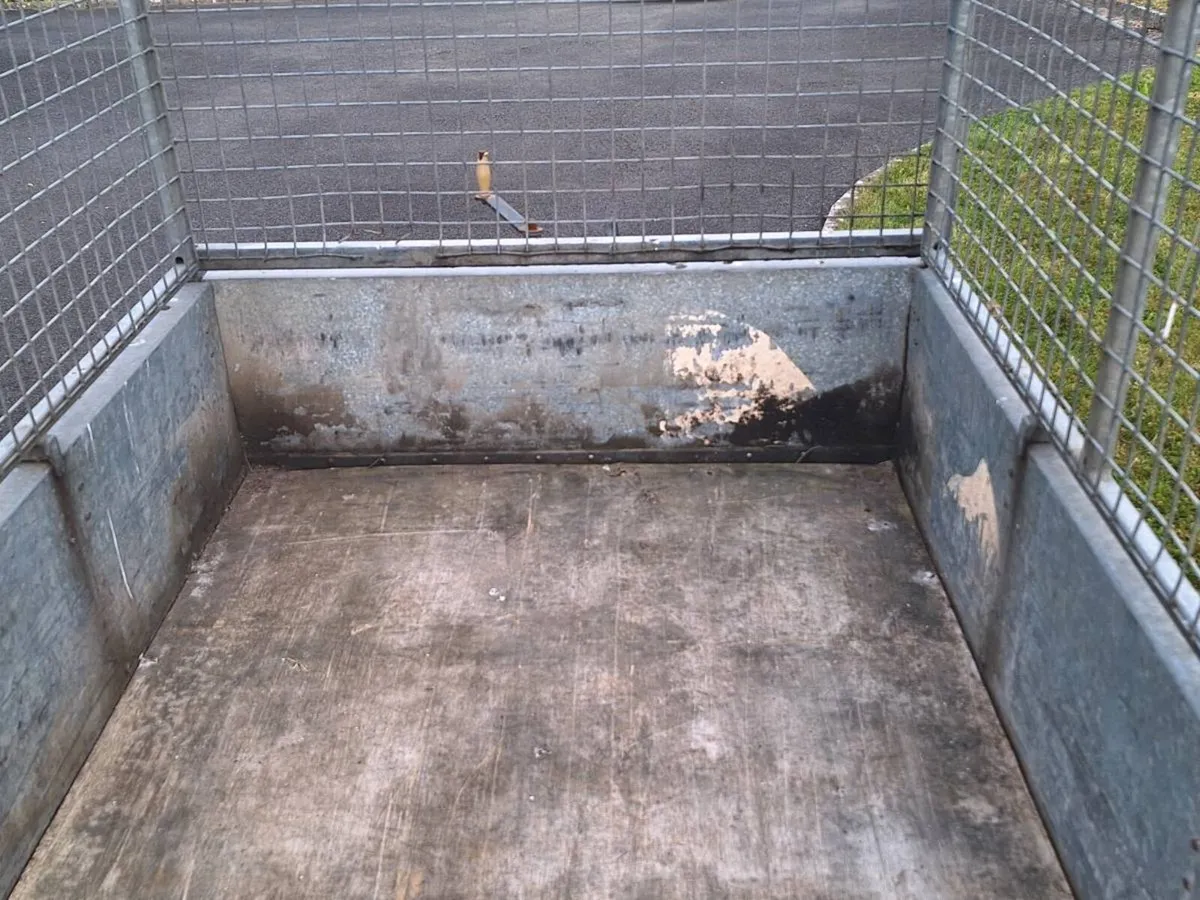 Ifor williams GD84 TA 8x4 - Image 2