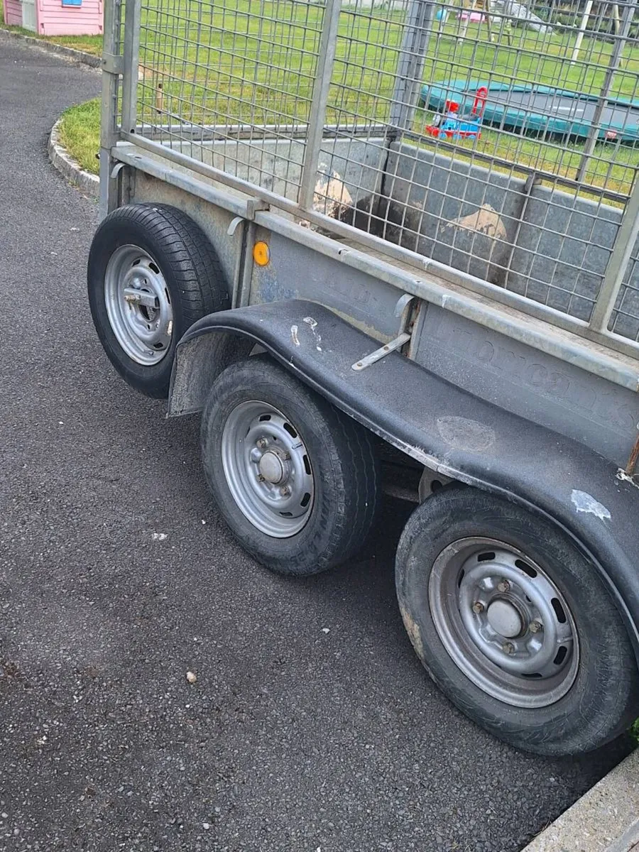 Ifor williams GD84 TA 8x4 - Image 3