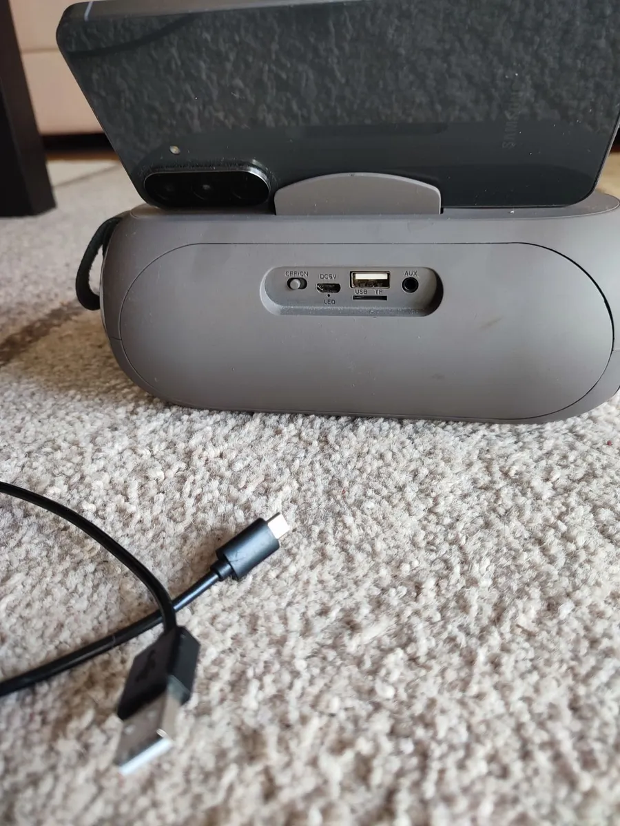 Speaker - Image 2