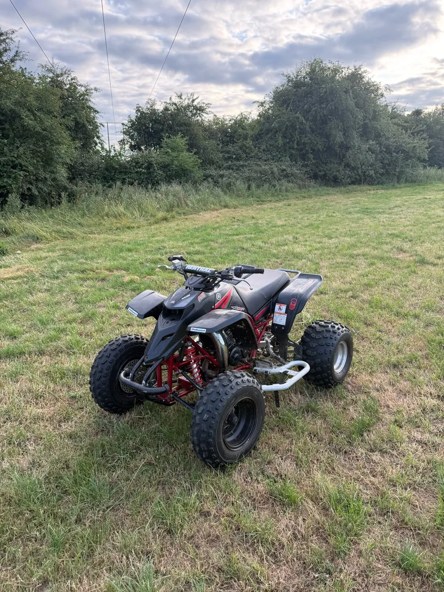 Yamaha blaster 200 - Image 3