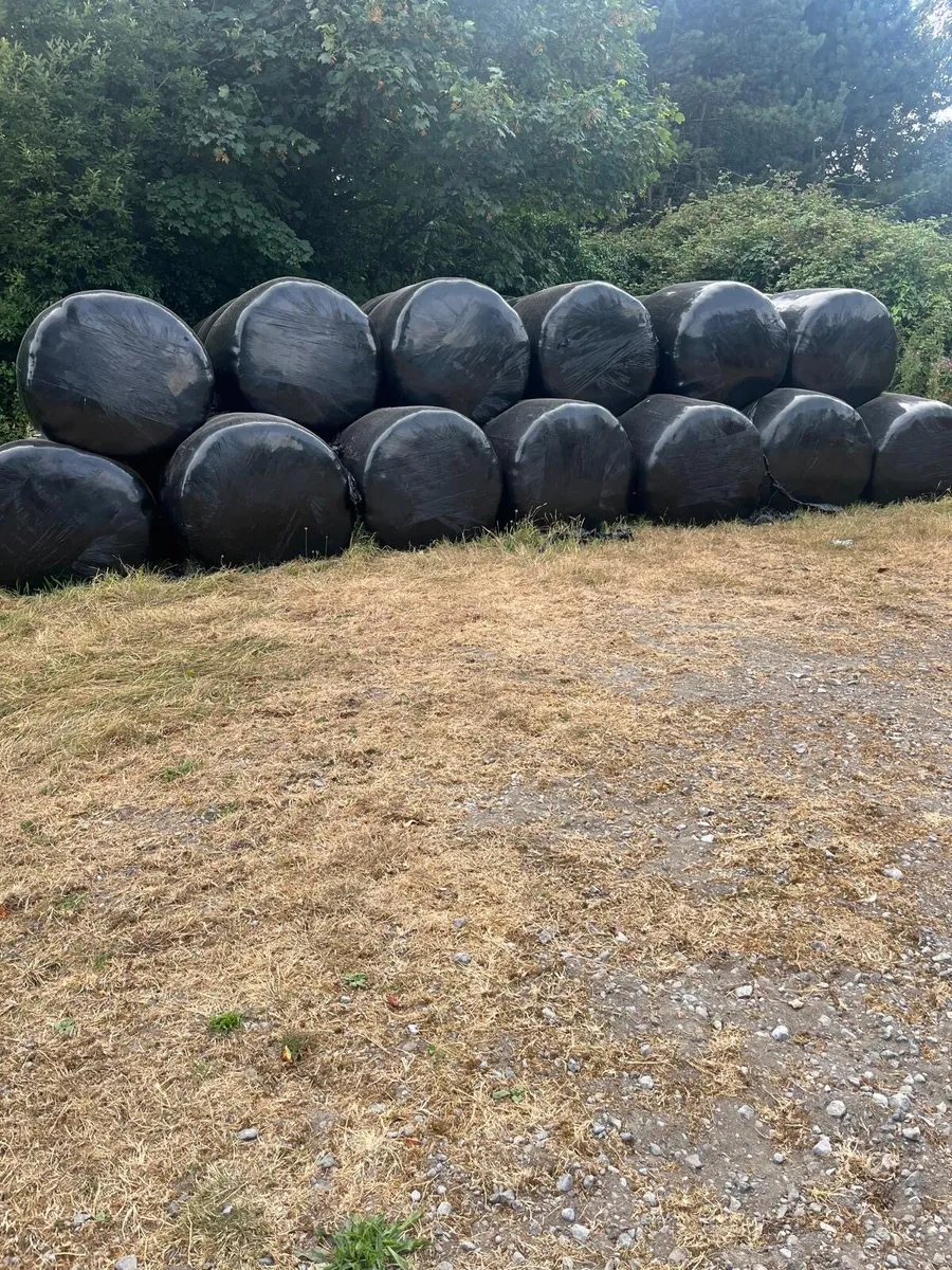Silage Bales