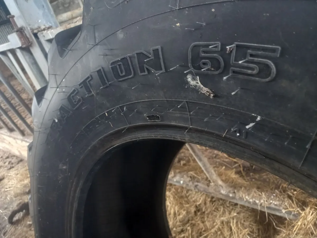Tyre - Image 2
