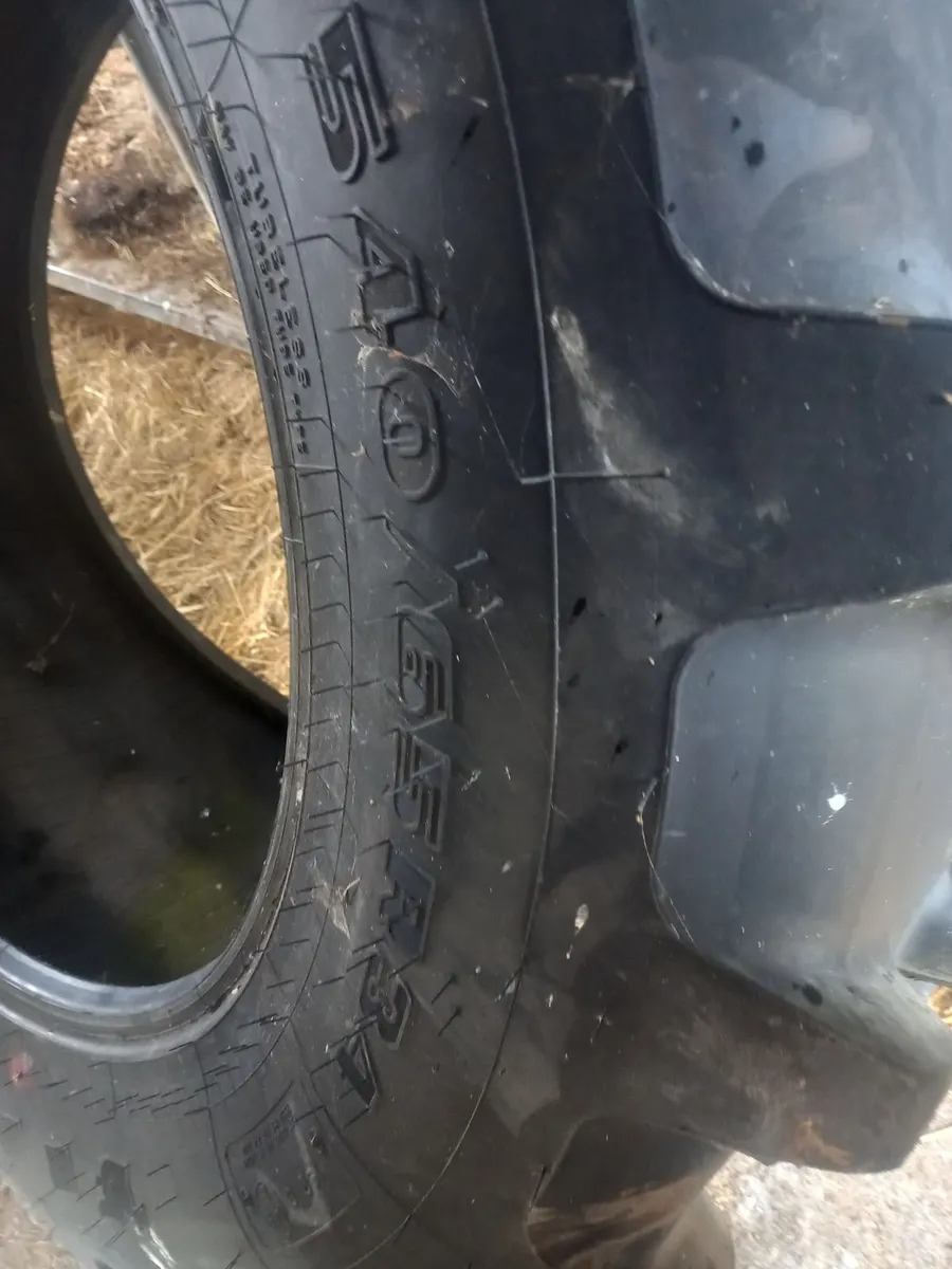Tyre - Image 3