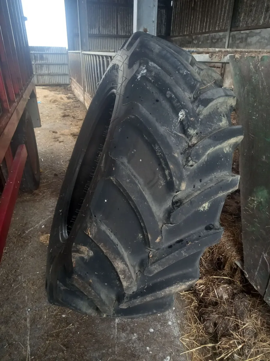Tyre - Image 4