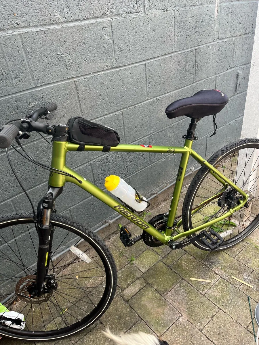 Adult men’s bike