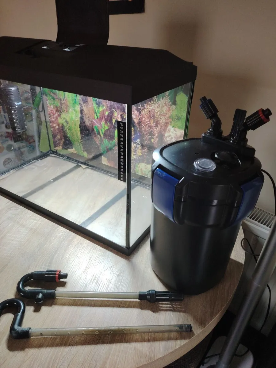 Aquarium - Image 4