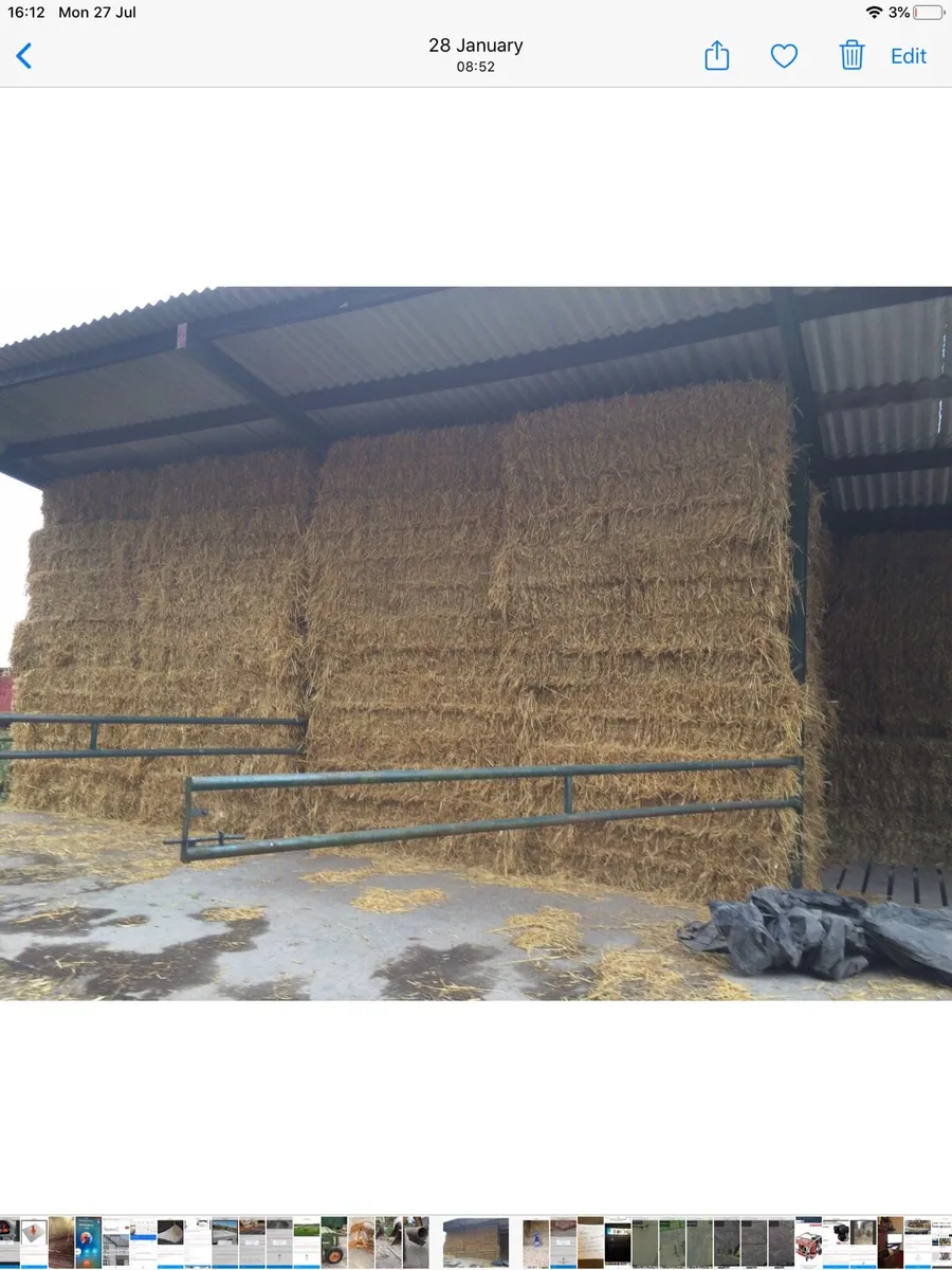 Straw