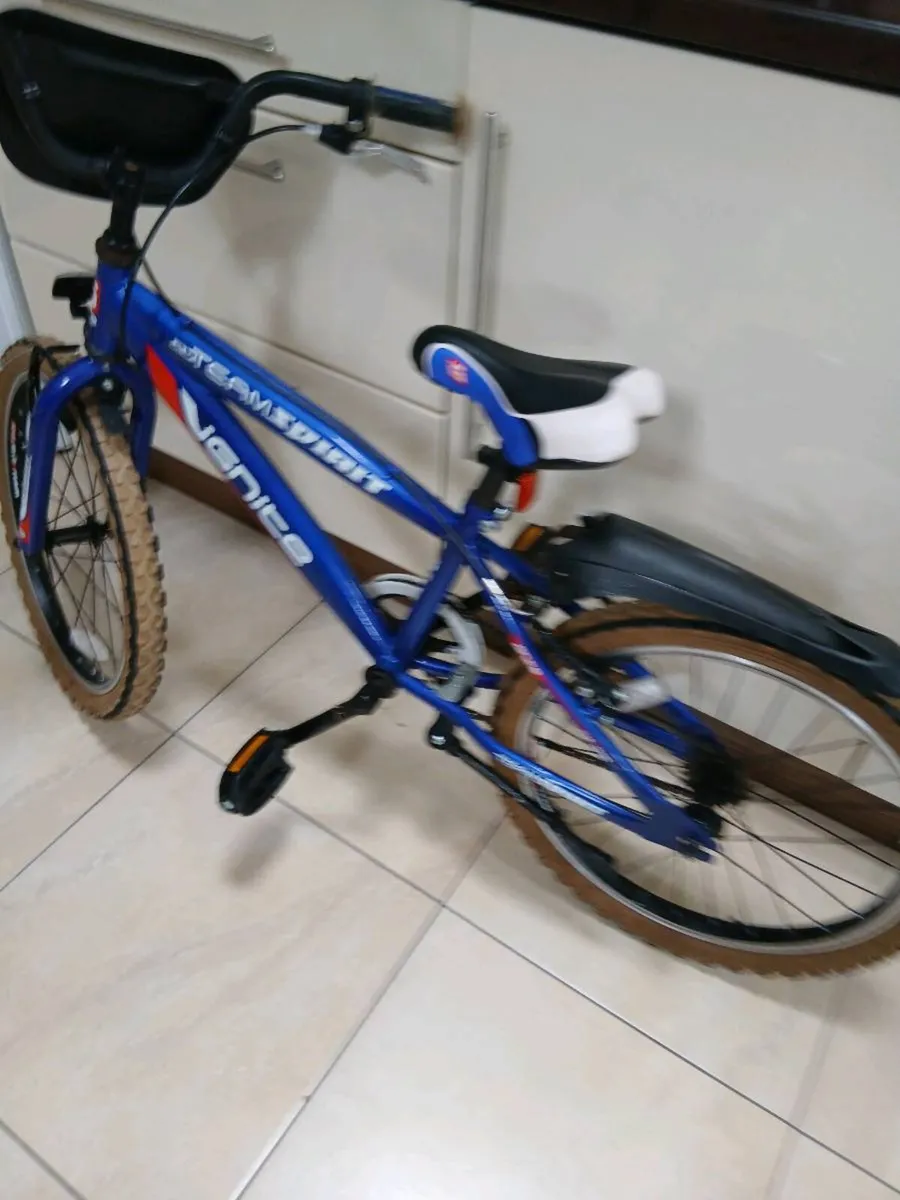 BOYS BICYCLE 20 INCH WHEELS - Image 3