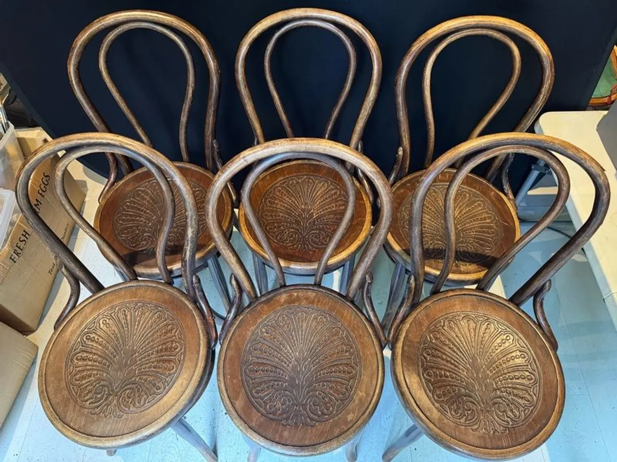 Set of 6 Antique Kohn Mundus Bentwood Dining Chairs - Image 2