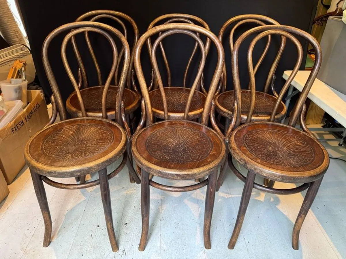 Set of 6 Antique Kohn Mundus Bentwood Dining Chairs - Image 1