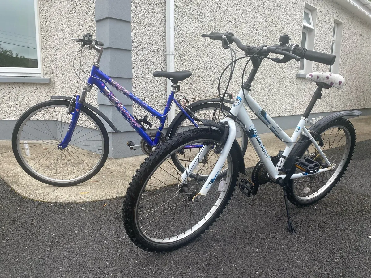 Ladies Bike