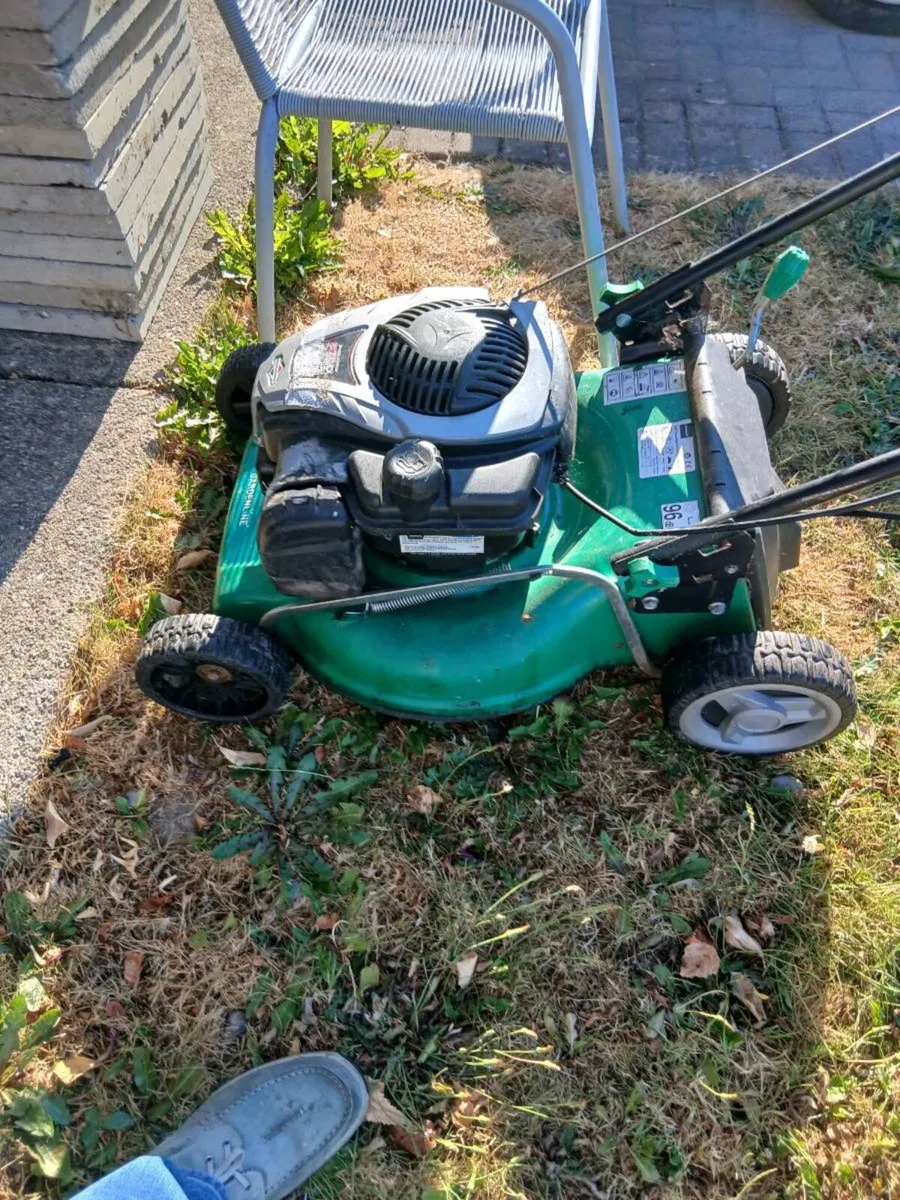 Mower - Image 1