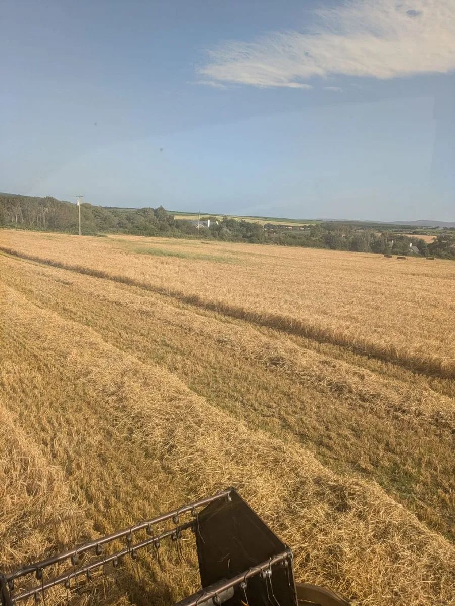 Round bales of oaten & barley straw