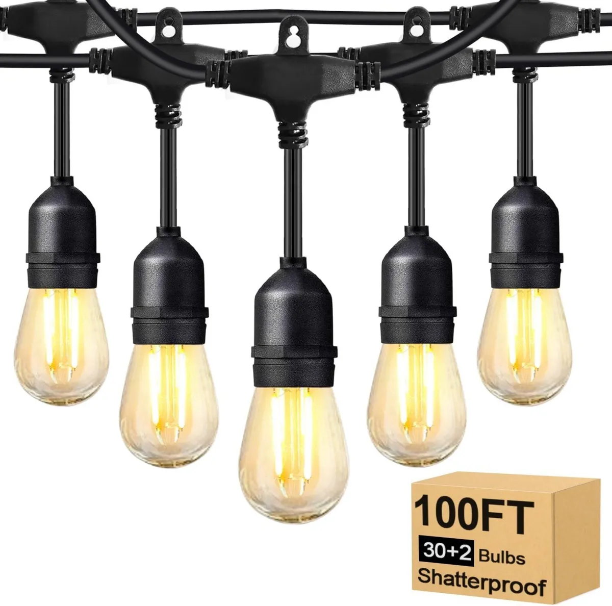 100FT Festoon Lights Mains Powered - Image 1