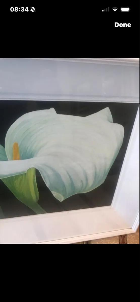 Arum Lily- Original Painting- Nicola Lynch Morrin - Image 4