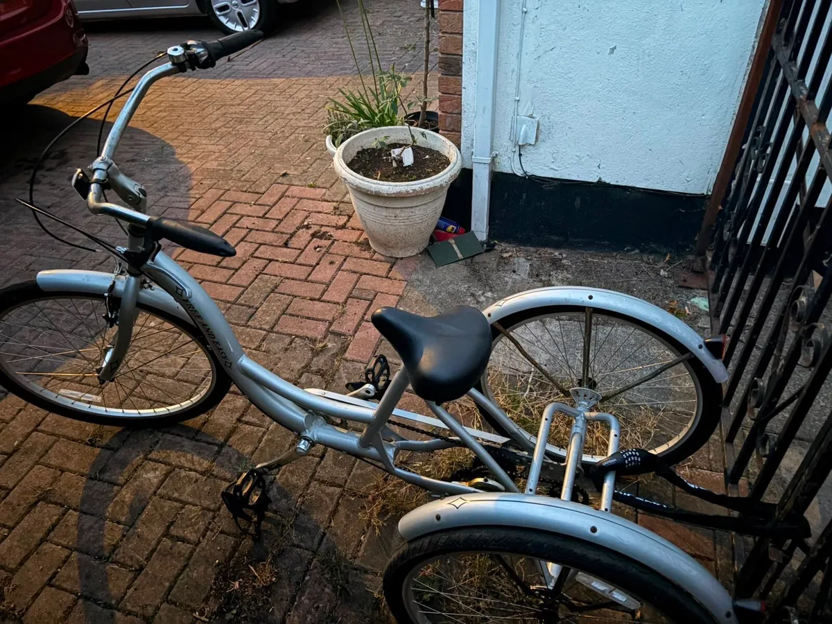 Adult trike - Image 2