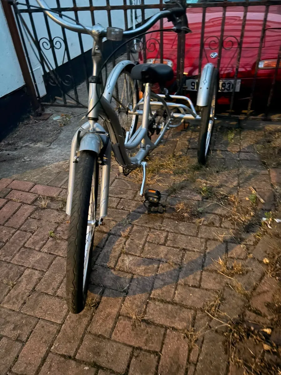 Adult trike - Image 3
