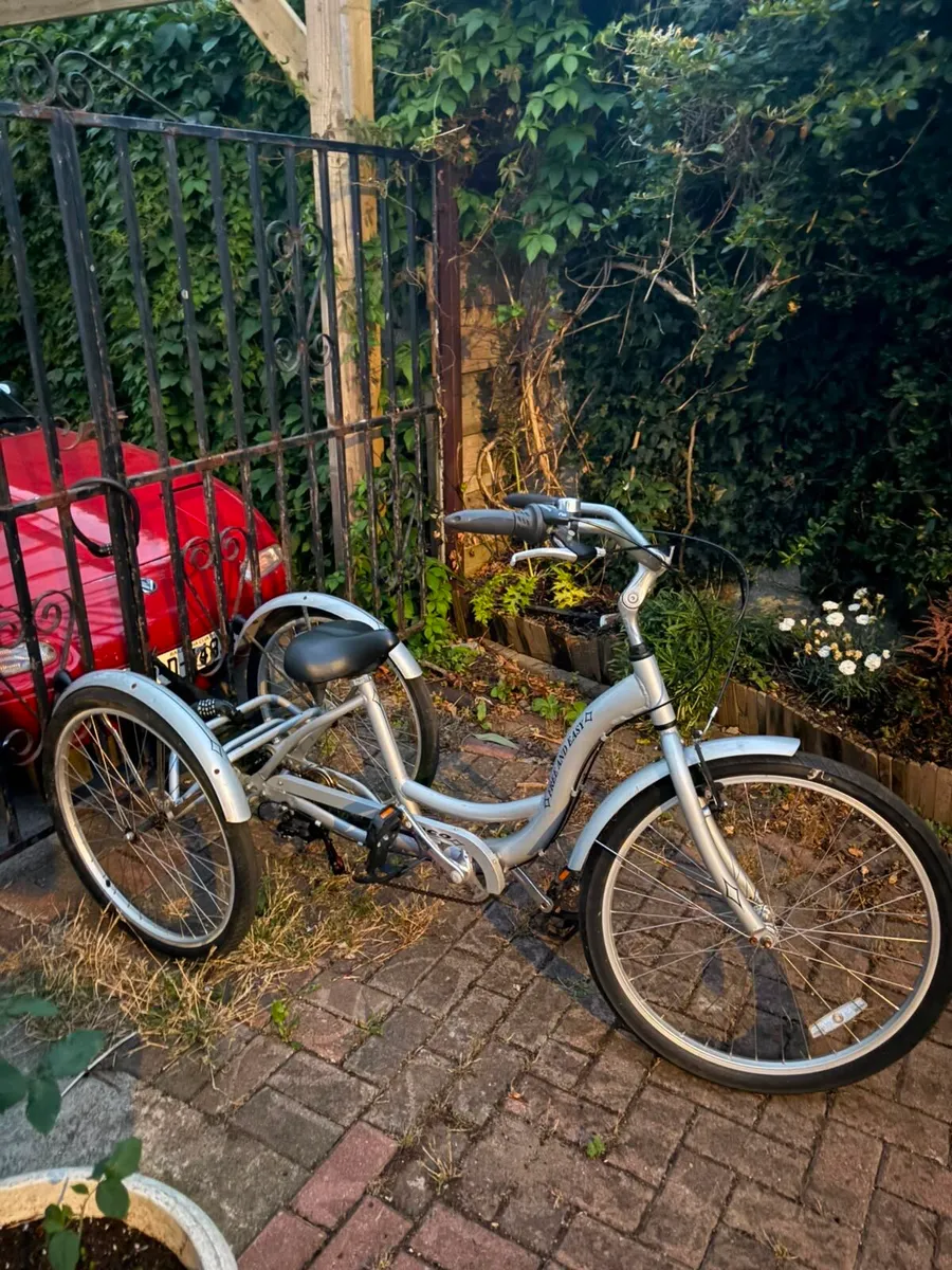 Adult trike - Image 1