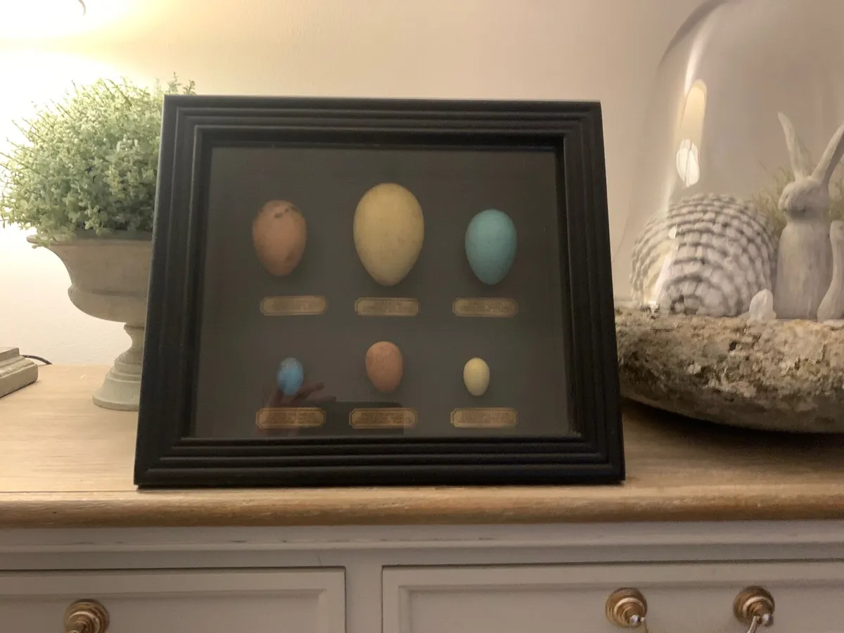 Wall decor - Image 2