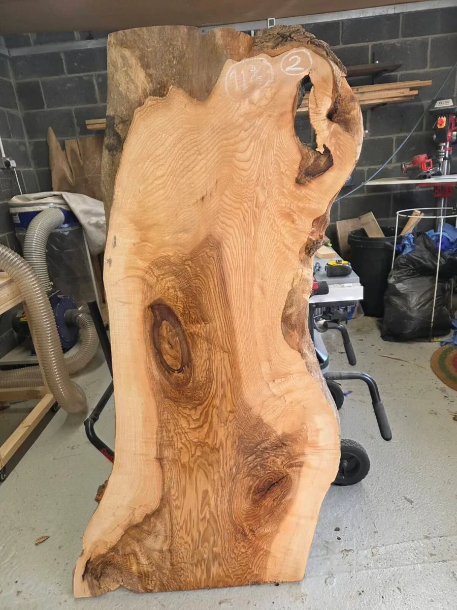 Live Edge Wood Slabs Oak Ash Cherry Beach More - Image 1