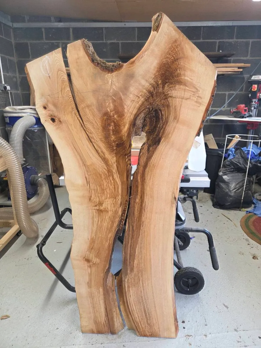 Live Edge Wood Slabs Oak Ash Cherry Beach More - Image 3