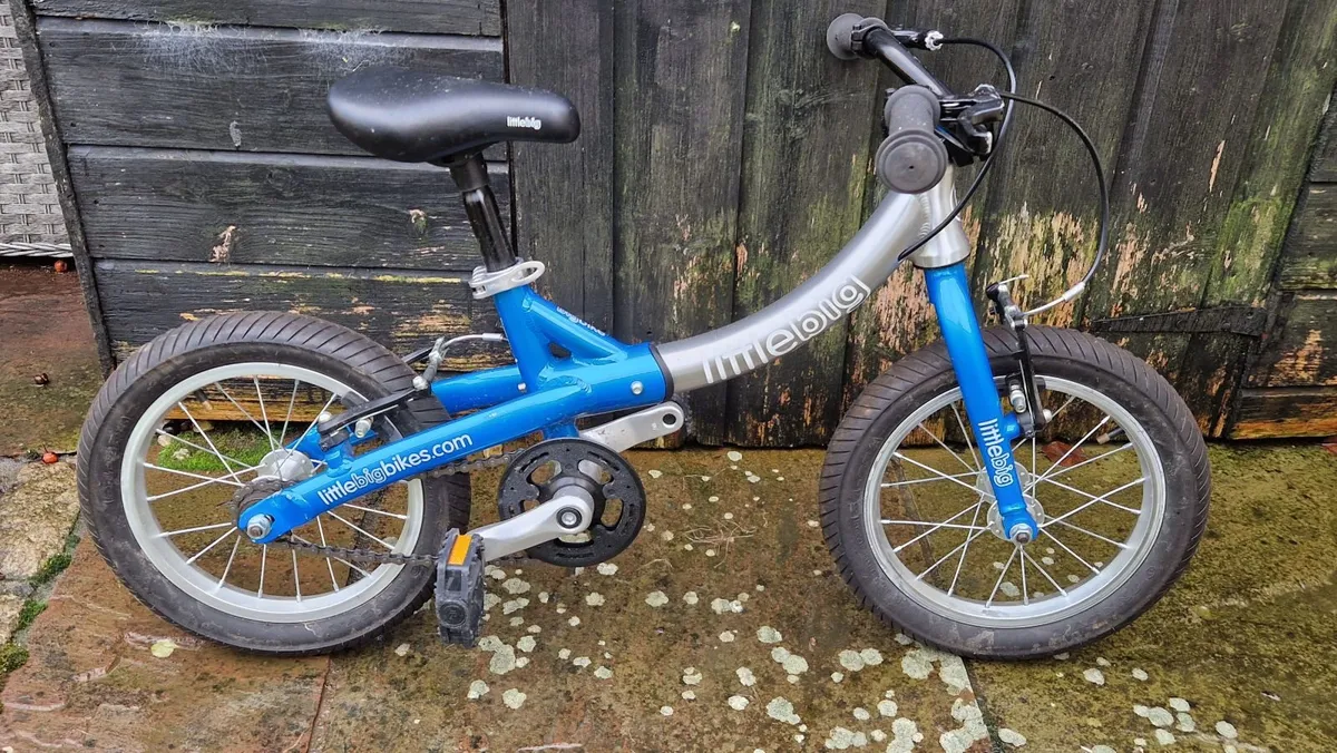 LittleBig convertible bike/balance bike