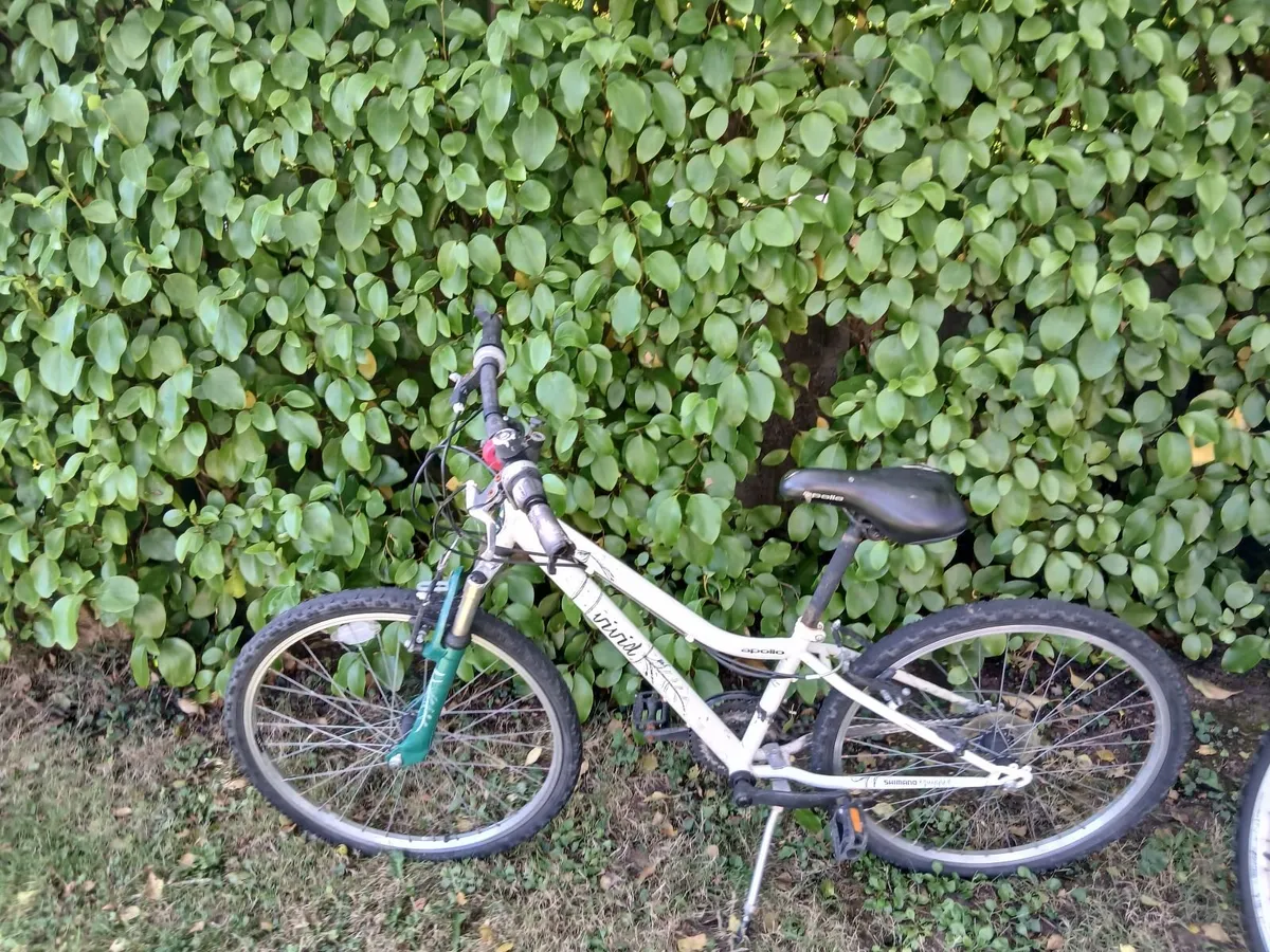 Bicycles - Image 1