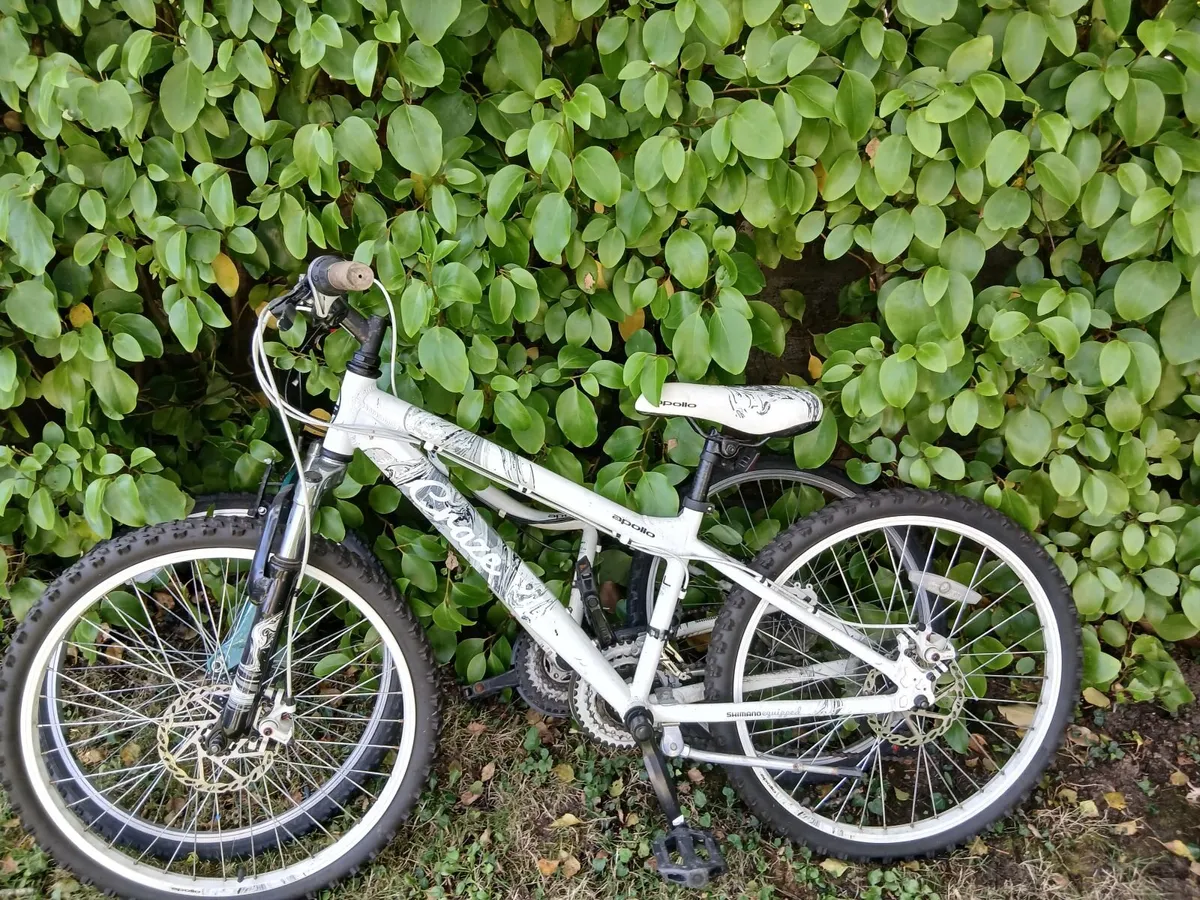 Bicycles - Image 2