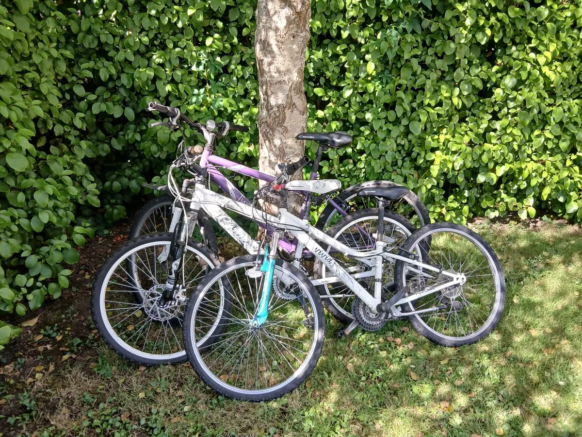 Bicycles - Image 3