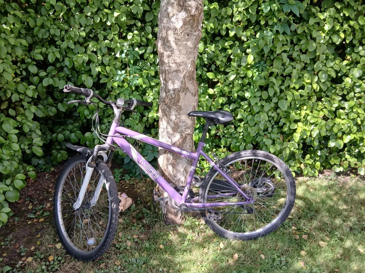 Bicycles - Image 4