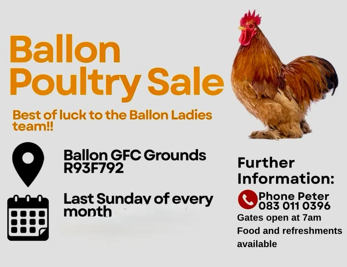 Poultry Sale Ballon next sale 30th August